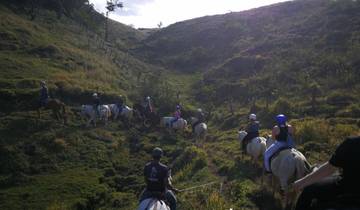 7 Days in Costa Rica, incl. San Jose and Arenal