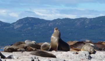Patagonia In Style - 14 jours