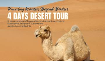 Marrakech to Fes: 4 day trip experience Tour