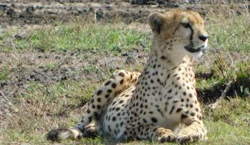 8 Days Kenya Discovery Safari - Mombasa Tour