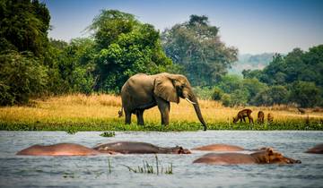 2 Days Wildlife Safari to Murchison Falls National Park Tour