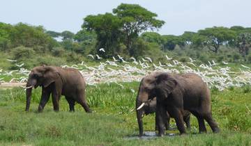 3 Tage Uganda Wildlife Safari zum Murchison Falls National Park Rundreise