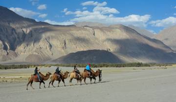 Leh Ladakh Tour
