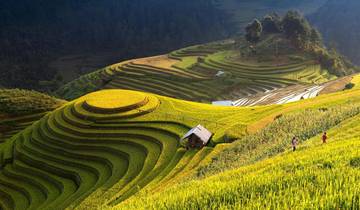 Trekking through Hoang Su Phi rice fields 4 days 3 nights Tour