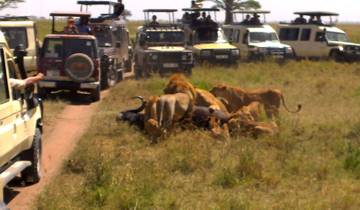 6-daagse safari om de migratie te zien bij de oversteek van de Mara rivier-rondreis