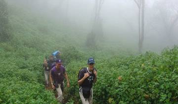 6-daagse Machame Route Kilimanjaro beklimming-rondreis