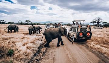 AUTHENTIC TANZANIA SAFARI