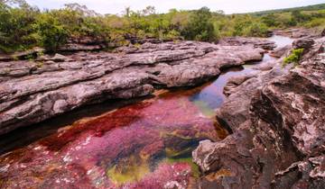 Caño Cristales 3-Day Trip  from Bogota Tour