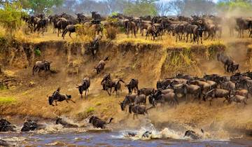 Safari en grupo de 4 días y 3 noches por Masai Mara y el lago Nakuru