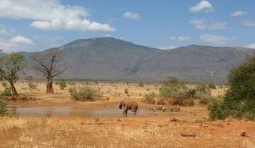 Tsavo Ost & West - 3 Tage