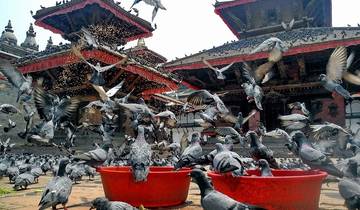 Private Transfer: Kathmandu Tribhuvan International Airport to Hotel Tour
