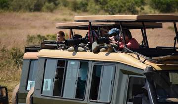 6 Days Kenya Lodge Safari to  Nakuru - Naivasha and Masai Mara Tour
