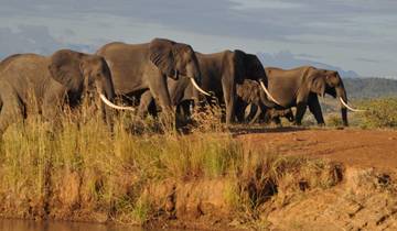 3 Days Safari to Tarangire, Lake Manyara and Ngorongoro Crater Tour