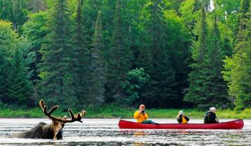 Algonquin Park 3-Day Canoe Trip Tour