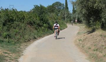 Bike tour, Languedoc, France (guided groups)