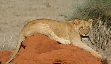 3 Days Amboseli - Nairobi