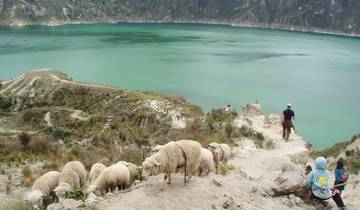 2-Day Private Tour Cotopaxi & Quilotoa Lagoon all-inclusive Tour