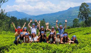 Le meilleur du Sri Lanka - Feel Free Travel