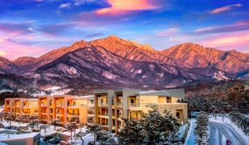 7 Days in South Korea, incl. Seoul and Gyeongju