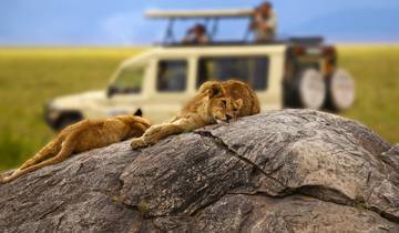 3 jours, Tarangire et Cratère du Ngorongoro - Circuit Safari en groupe en Tanzanie