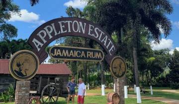 Explore Jamaica
