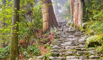 Walk Japan - Kumano Kodo Trail