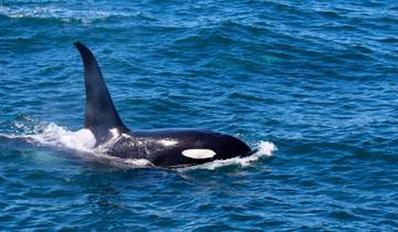 13 Days in Alaska, incl. Denali National Park and Kenai Fjords