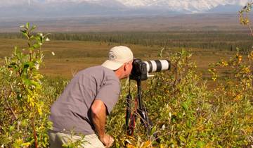 13 Days in Alaska, incl. Denali National Park and Kenai Fjords