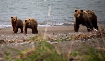13 Days in Alaska, incl. Denali National Park and Kenai Fjords