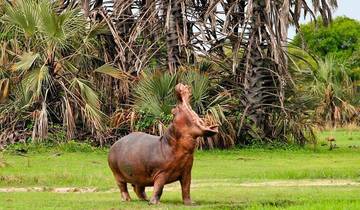 5-Day Group Midrange Safari with two nights in Serengeti