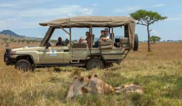 8 Dagen Kenia Luxe Familie Safari & Strand Arrangement-rondreis