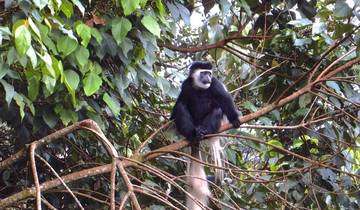 Arusha Nationalpark Tagestour