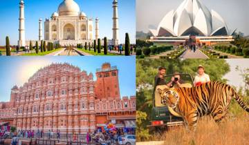 6 Days - Golden Triangle With Ranthambore Wildlife and Bird Sanctuary - Delhi - Agra - Jaipur - Ranthambore - Delhi Tour