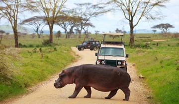 3 Days Victoria Falls and Chobe Safari