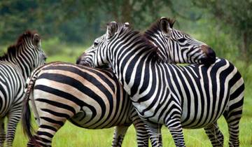 5 Days tour in Eastern Uganda Tour