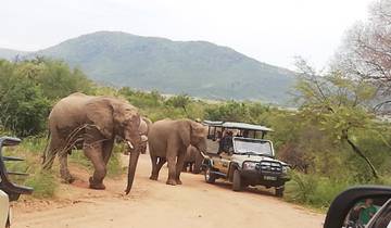 Kruger National Park 4 days Tour