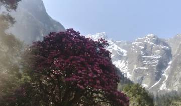 Annapurna Bhimtang Panaroma Trekking10 Tage