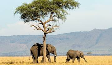 Circuito El mejor safari privado de 3 días en Tanzania a un precio razonable.
