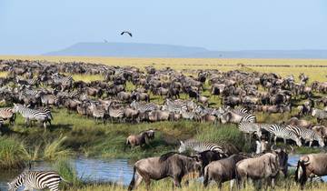 Circuito Recorrido en grupo de 4 días por Tanzania - Explora los 3 parques más bellos del norte de Tanzania a un precio asequible.