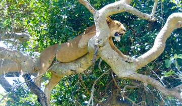 Culturele rondreis & wildlife-safari - een groepsreis - 10 dagen-rondreis