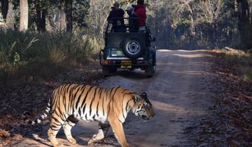 India tijgertocht met Gouden Driehoek-rondreis