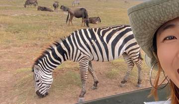 Lake Manyara, Ngorongoro, Tarangire Safari