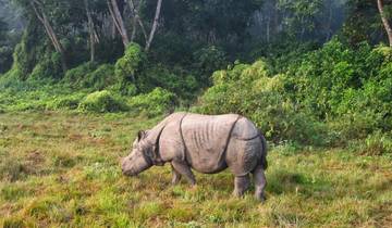 Chitwan National Park