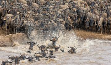 8-Day Luxury Wildebeest Migration River Crossing Tour in Tanzania