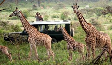 Masai Mara Safari zur Gnu-Wanderung - 8 Tage Rundreise