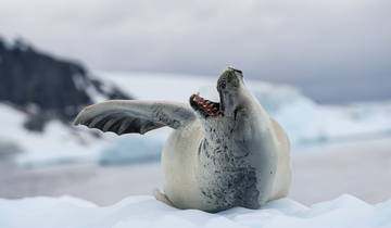 Classic Antarctica - 10 days