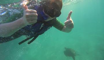 5-Day Galapagos Islands Diving  Tour
