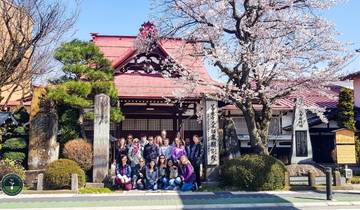 14 Days in Japan, incl. Tokyo and Kyoto