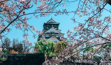 14 Days in Japan, incl. Tokyo and Kyoto