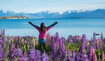 7 Days in New Zealand, incl. Queenstown and Wellington
